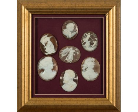 A group of seven framed oval shell portrait cameos: including 'Hebe and the Eagle' and 'Venus and Cupid'. 