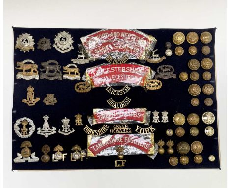 16th - 18th Foot. A display card containing cap badges, collar dogs, shoulder titles and buttons. Noted: Bedfordshire, Bedfor