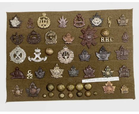 Canadian Expeditionary Forces 1 to 39 Battalions. A display card containing cap badges, collar dogs, shoulder titles and butt