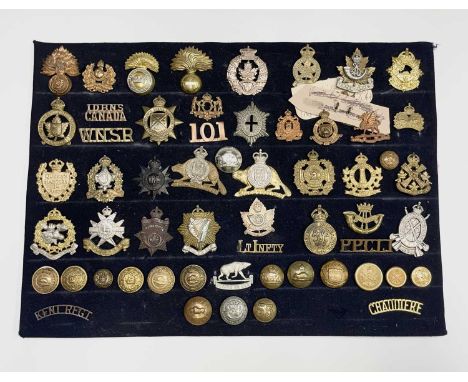 Canadian Infantry. A display card containing cap badges, collar dogs, shoulder titles and buttons. Noted: Queen's Rangers - 1