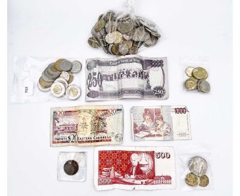 World Coinage A bag containing redeemable coinage: Canadian $27.25, Euros 5.50, New Zealand $4 plus bag of whole world coinag