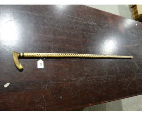     A Vertebrae Walking Stick                                                       