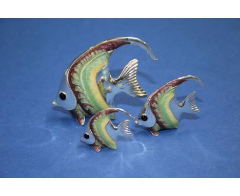 Three Saturno sterling silver and enamel miniature Angel fish, largest 5cm.   Condition Report:  No damage seen.