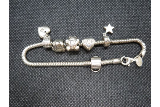 Pandora bracelet with charms 18.5g