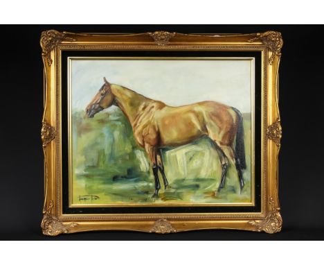Jacquie Jones - horse portrait, oil on canvas, signed and titled indistinctly, 50.5 x 41cm