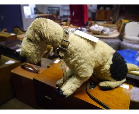 A 1950's Chiltern Toys fox terrier, with original studded collar and lead, label faded. 