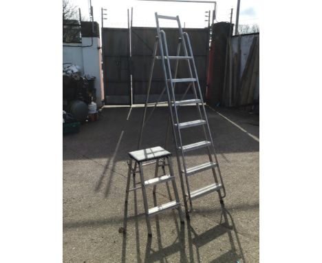 Aluminium Step Ladder with Hand Rails and One Other 