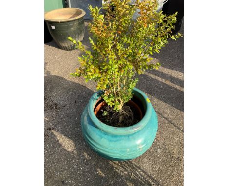 Glazed Planter 