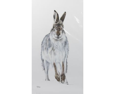 * GILL DAVIES (SCOTTISH CONTEMPORARY), MOUNTAIN HARE colour print, signed in pencil and numbered 4/24 91cm x 50cm Mounted and