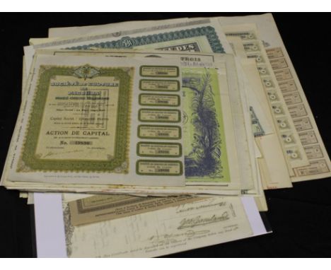 Company Share Certificates, world-wide including Railways, Mining, Netherlands Land Enclosure, Plantations, Meat Processing, 