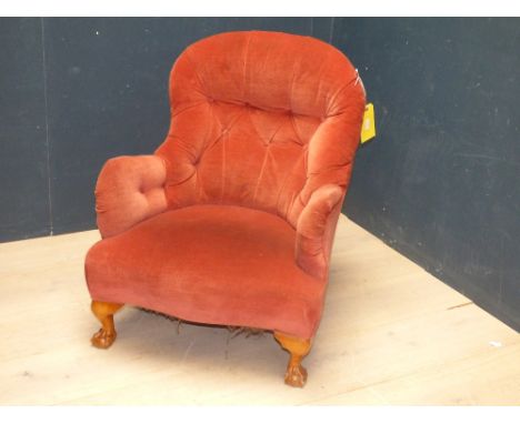Button back armchair on carved legs with claw and ball feet PLEASE ALWAYS CHECK CONDITION PRIOR TO BIDDING