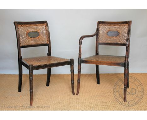 A Regency style mahogany carver chair and matching single chair, each with caned back and seats on ring turned and tapered le