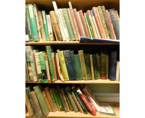 Various books, cricket related, Trevor Bailey's cricket book, Andrew Flintoff, Simon Hughes, Crusoe on cricket, Ted Dexter te