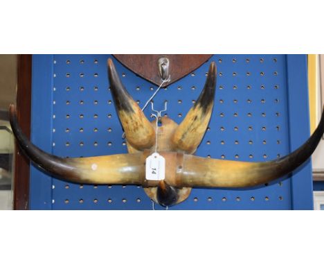 A Victorian horn coat rack