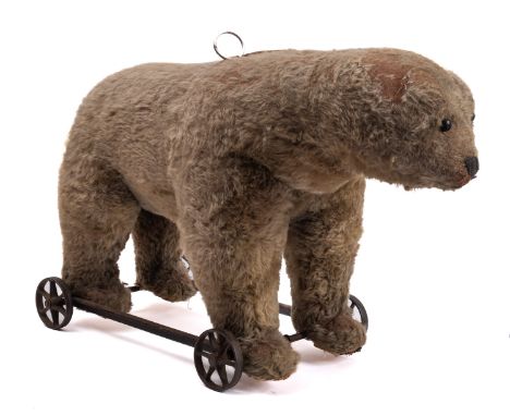 An early 20th century Steiff roll along growling bear, with boot button eyes, stitched nose and n moth with felt pads, the bo