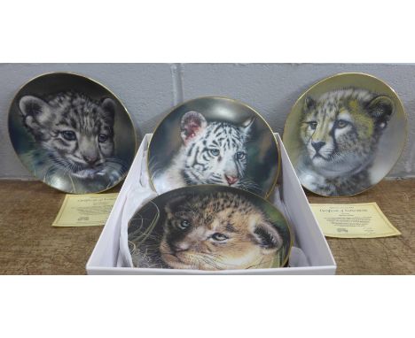 Seven Cubs of the Big Cats collectors plates **PLEASE NOTE THIS LOT IS NOT ELIGIBLE FOR POSTING AND PACKING** 