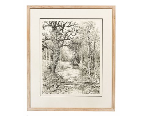 Elizabeth Walsh, pen and ink drawing "Woodland Path". 51 x 40 cm, framed and mounted (see illustration).