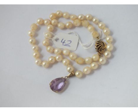 A pearl necklace with 9ct amethyst drop &amp; fan shaped 9ct clasp 