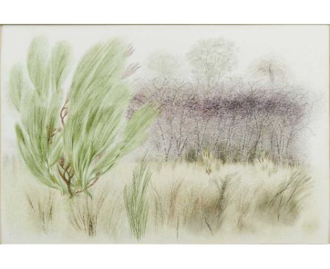 Francis Plummer (1930-2019) two watercolours - "Cascade Slope" initialled and dated '82, 54cm x 36cm and "Scene Set", initial