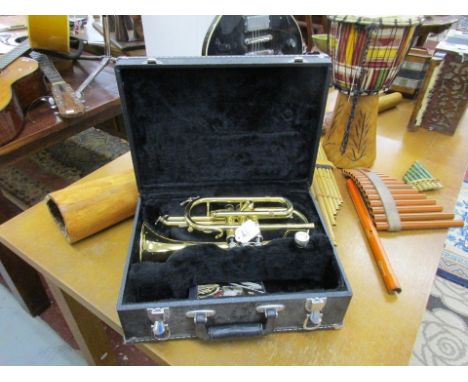 Cased cornet