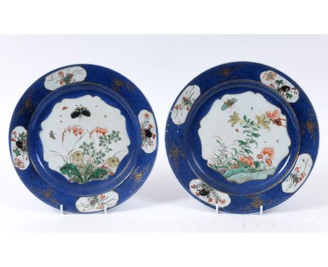 A pair of Chinese porcelain plates, decorated insects, foliage and bugs in enamel colours on a powder blue ground and with gi