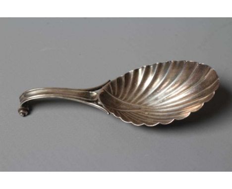 A WILLIAM IV SILVER CADDY SPOON, maker's mark WF, London 1831, the leaf shaped bowl with scroll handle and bifurcated termina