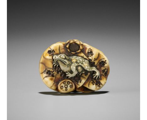 A METAL-INLAID WALRUS IVORY NETSUKE WITH FROG AND LOTUSJapan, Tokyo, Asakusa, second half of 19th centuryFinely carved as sev