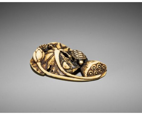 A FINE WALRUS IVORY NETSUKE OF TORTOISES, CRAB AND LOTUS, ATTRIBUTED TO RENSAIAttributed to Ishikawa Rensai, unsignedJapan, A