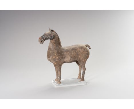 A PAINTED POTTERY FIGURE OF A HORSE WITH OXFORD TESTChina, Han Dynasty (202 BC-220 AD). Standing foursquare, the face with th