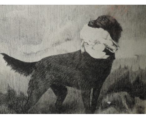 A sketch, J Dickinson, gun dog, signed and dated 1914, 20 x 18cm, framed and glazed