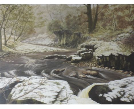 A Ltd Ed print, after David Hall, Waxwing Winter, signed, numbered 19/250, 46 x 50cm, framed and glazed