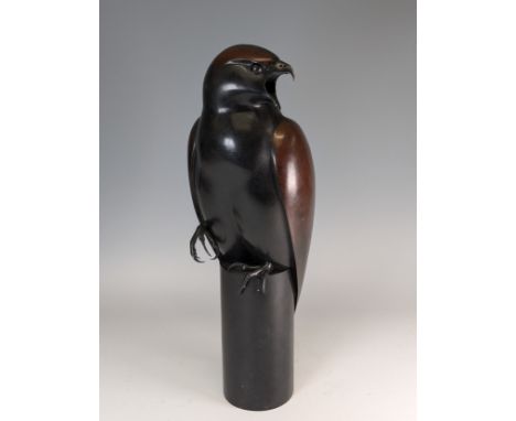 Geoffrey Dashwood (b.1947), Harris Hawk, limited edition bronze with patina, signed in the cast and numbered to lower edge “D