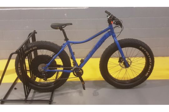 fat bike 500