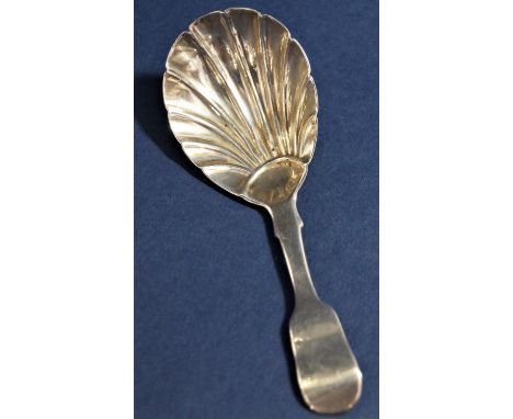William IV silver shell bowl caddy spoon, maker William Collins, London 1832, 10 cm long