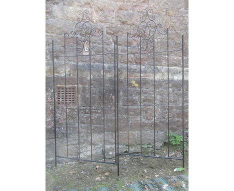 A pair of contemporary decorative light metal garden screens with scrollwork detail, 70 cm wide x 166 cm high 
