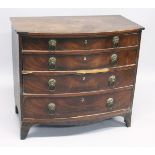 A REGENCY MAHOGANY BOWFRONT CHEST of four graduated drawers, with brass lion ring handles,