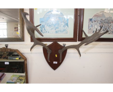 A hunting trophy