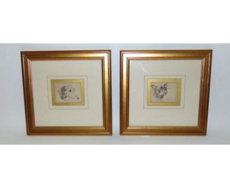 A pair of early 20th century ink studies of the head of a French bulldog and a deer hound, 6 x 8 cm, a signed coloured limite