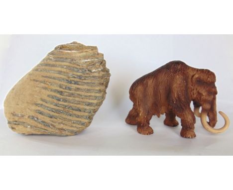 A woolly mammoth tooth fossil believed to have been discovered near South Cerney, UK together with a resin study of a mammoth