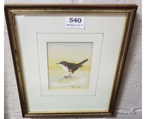 Watercolour - Dipper Bird, by Stephen Ring, Wilts, W13 x H10
