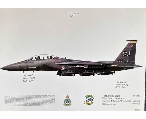 Desert Storm 1991 12x17 F-15E Strike Eagle 336th Fighter Squadron Seymour Johnson AFB, North Carolina commemorative print sig