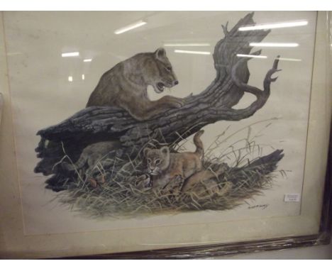 Lion print by Peter Holmes 