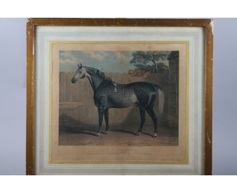 An 18th century coloured aquatint, racehorse "Grey Wiganthorpe", in gilt frame, after J Mole: a colour print, "The Mussel Gat