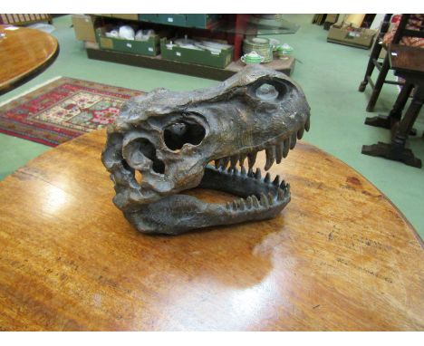 A model of a T-Rex skull, 19cm long