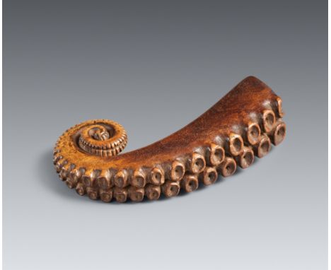 Netsuke eines großen Fangarms eines Kraken. Holz. 19./20. Jh.Mit spiralig eingerollter Spitze und in zwei Reihen angeordneten