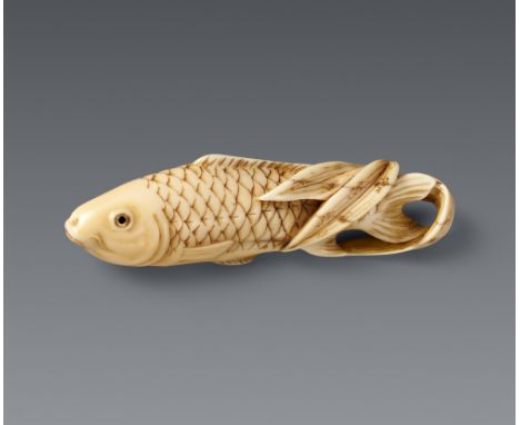 Netsuke eines Karpfens und Bambushalm. Maritimes Elfenbein. 19. Jh.Mit Barthaaren und großen Schuppen, der hintere Teil des K