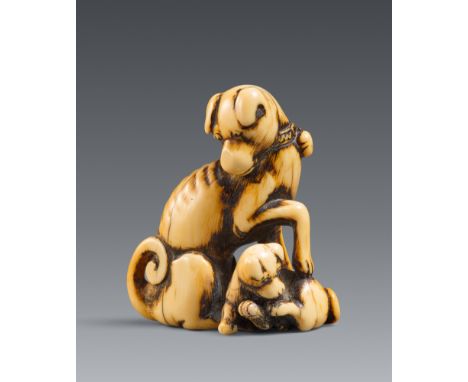 Netsuke eines großen Hundes und Welpe. Elfenbein. Kyoto. Spätes 18. Jh.Der schlanke Hund mit um den Hals gebundener Schelle u