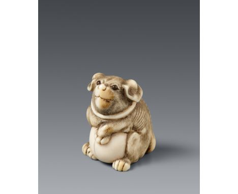 Netsuke eines jungen Hundes. Elfenbein. Frühes 19. Jh.Sitzend, zwischen den Pfoten ein großer Ball, auf den er eine Vorderpfo