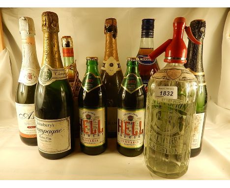 10 Bottles of various sparkling to include Asti, II Cinzano, Pineapple wine, 2 Hell Beers, Marsala, Champagne etc... S  