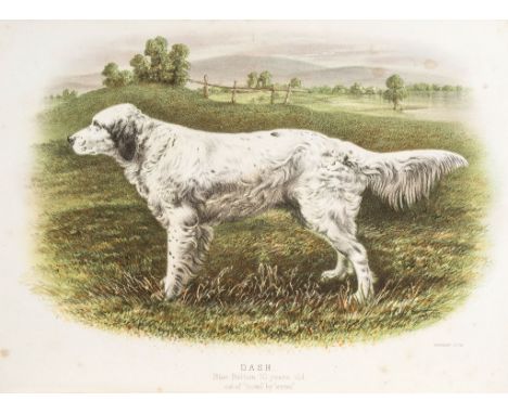 Dogs.- Laverack (Edward) - The Setter,  first edition , 2 chromolithographed plates (lightly spotted), hinges weak, original 